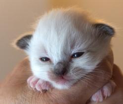 Blowinginthewind1520