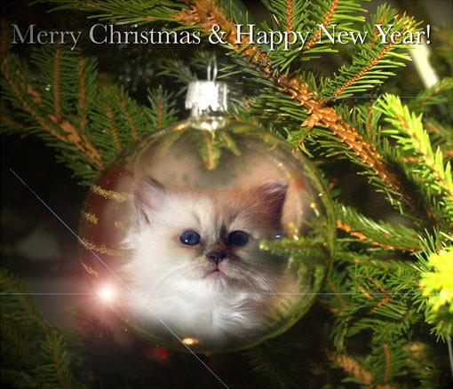Christmasweb