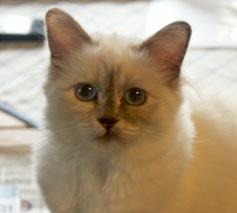 Ingela1