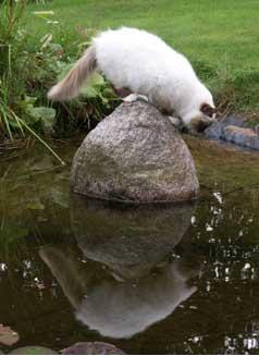 labanwater