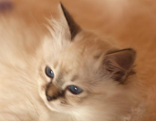 månprinsessan_510_3