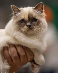 MissHeywoodutstJuli24