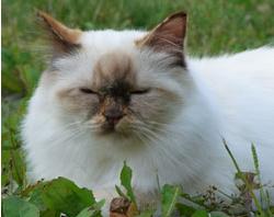 Sallie2