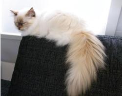 Sallie3